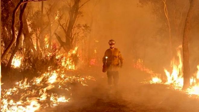 تشخیص هوشمند آتش سوزی در جنگل ها با اینترنت اشیا