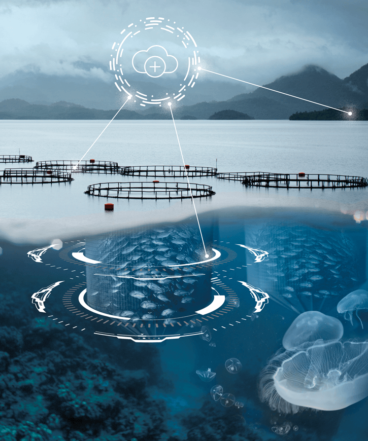 هوش مصنوعی در بررسی سلامت آبزیان